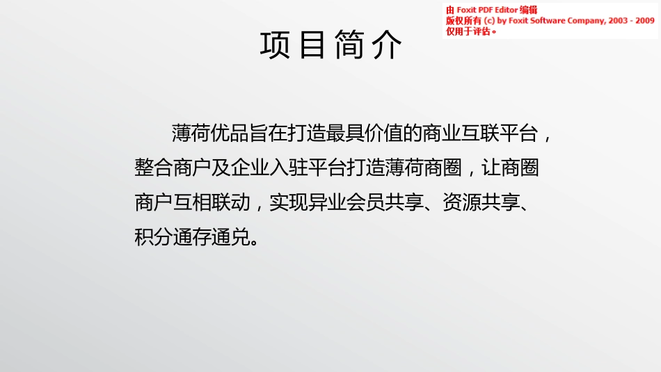 薄荷优品商业计划书.pdf_第2页