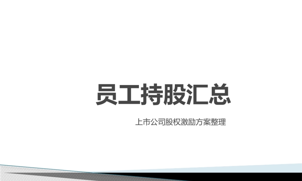 员工持股汇总.pptx