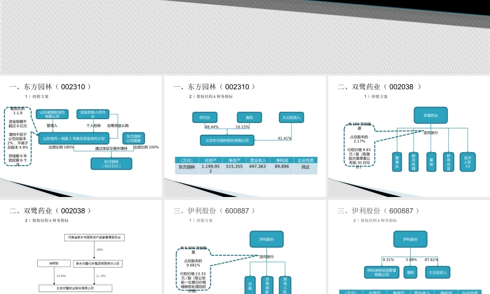 员工持股汇总.pptx