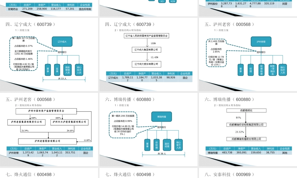 员工持股汇总.pptx