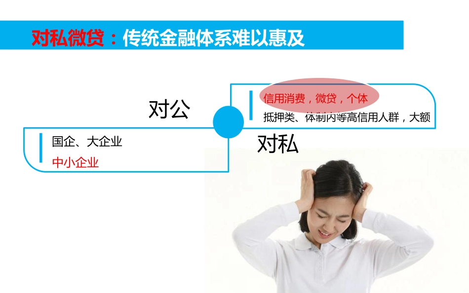 笨鸟分期.商业计划书.pdf_第3页