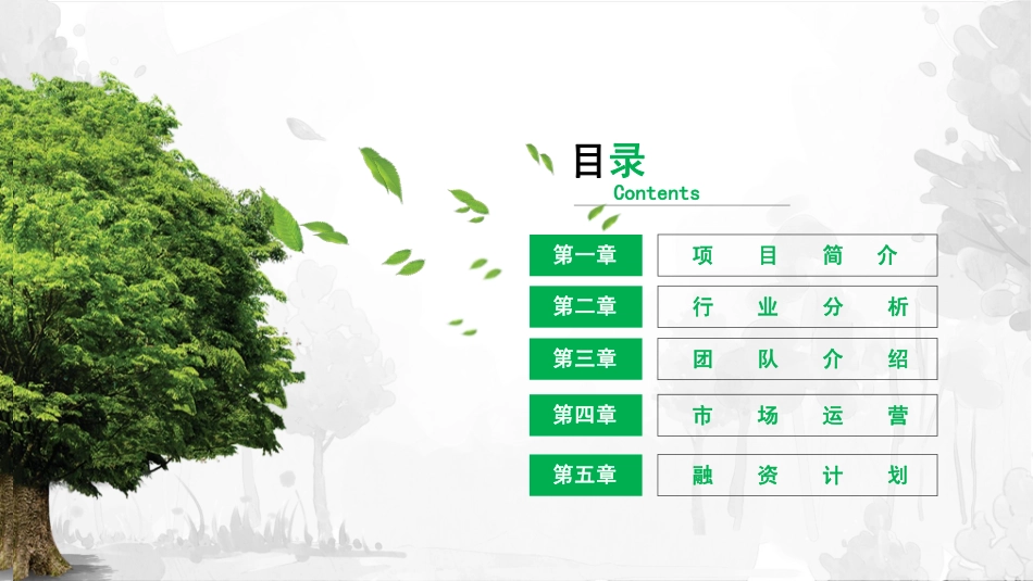 雾化无土栽培iFlower.商业计划书.pdf_第2页