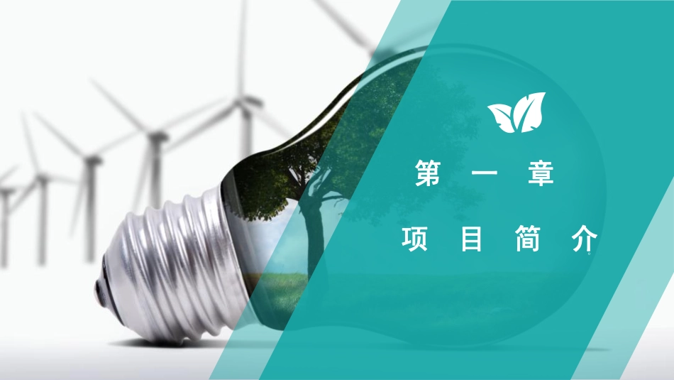 雾化无土栽培iFlower.商业计划书.pdf_第3页