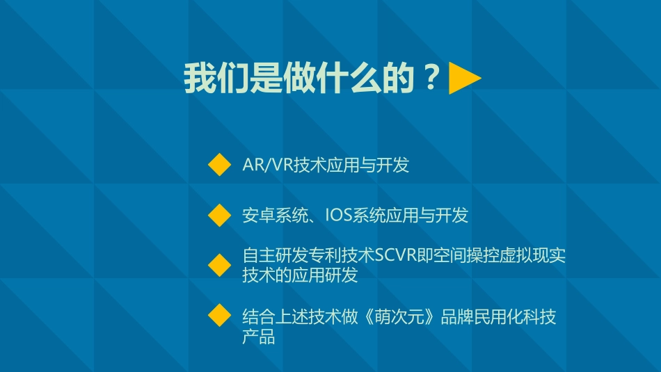 萌次元商业计划书.pdf_第3页