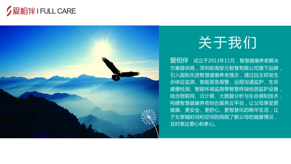 智慧健康养老云平台商业计划书.pdf_第2页