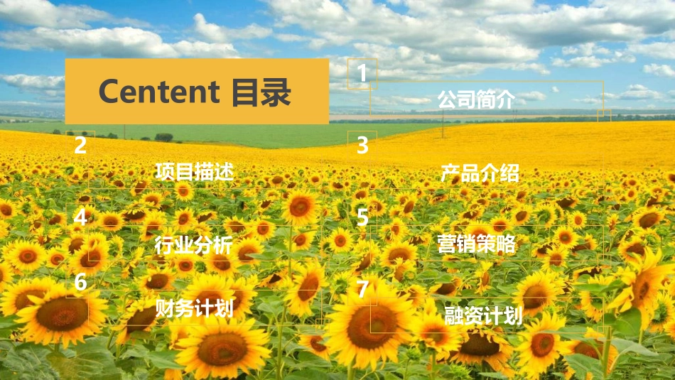 绿天使-绿色油葵产业链项目.pdf_第2页