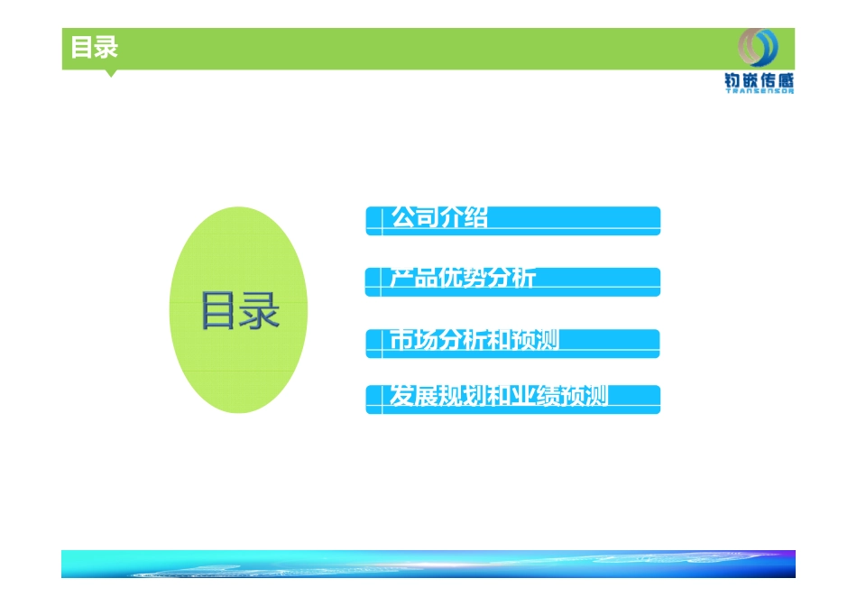 传感器.商业计划书.pdf_第2页