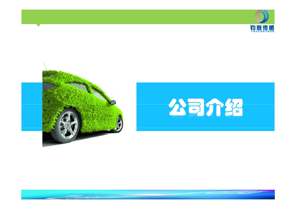 传感器.商业计划书.pdf_第3页