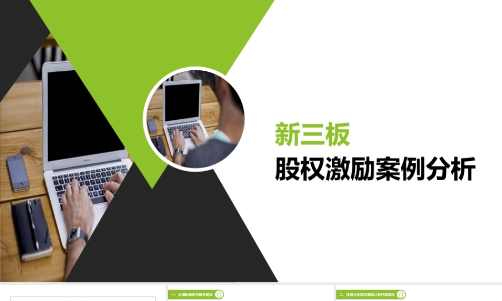 新三板股权激励案例分析-2017.04.26.pptx