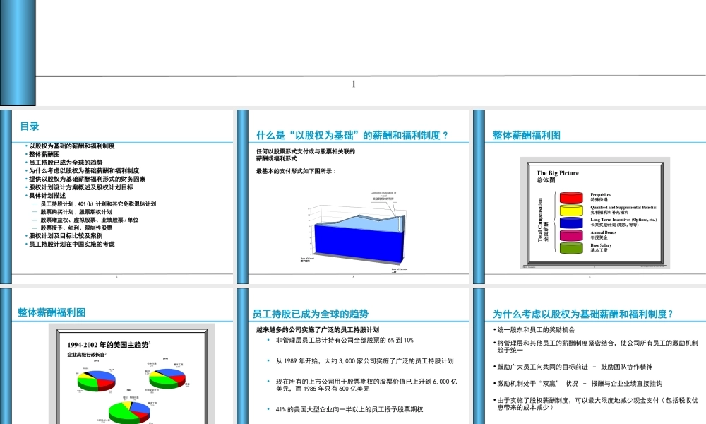 股权计划设计方案概述 (2).ppt