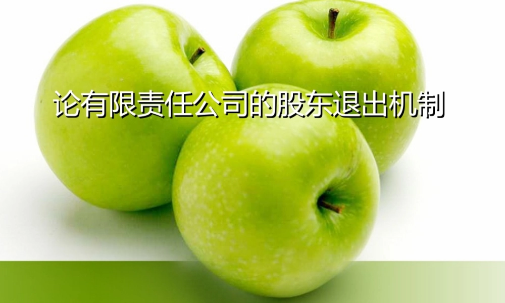 论有限责任公司的股东退出机制 (2).ppt
