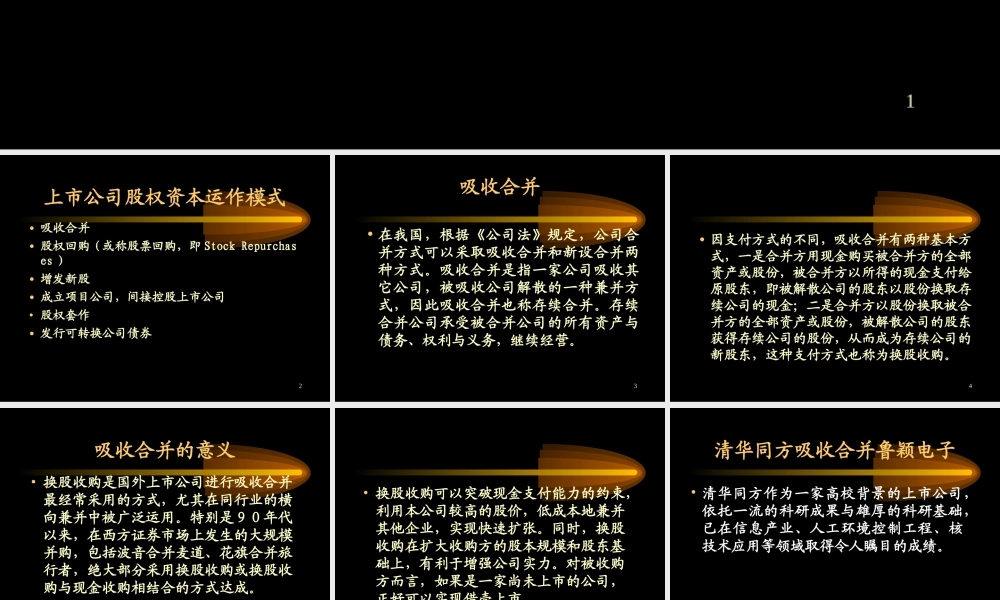 上市公司股权资本运作模式 (2).ppt