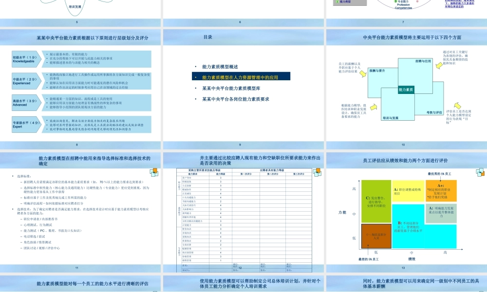 某知名企业能力素质模型——精典案例.ppt