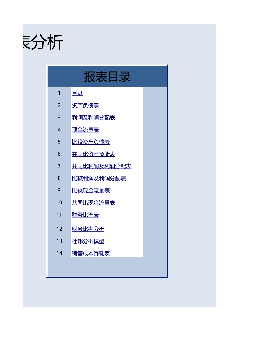 财务报表分析(1).xlsx_第2页
