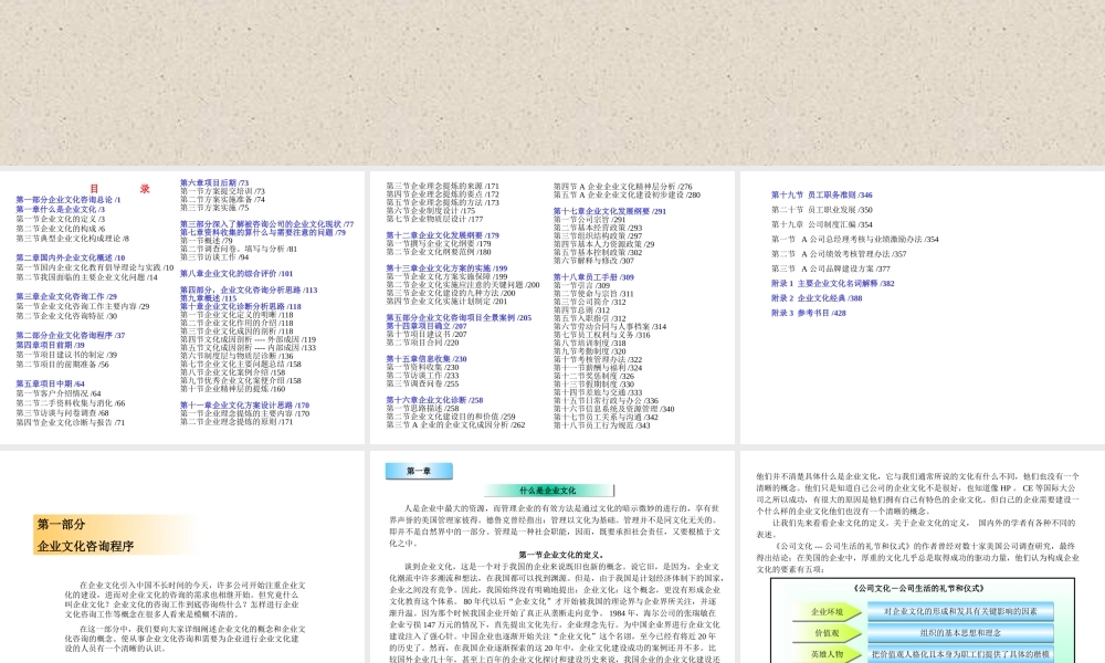 企业文化咨询实务.ppt