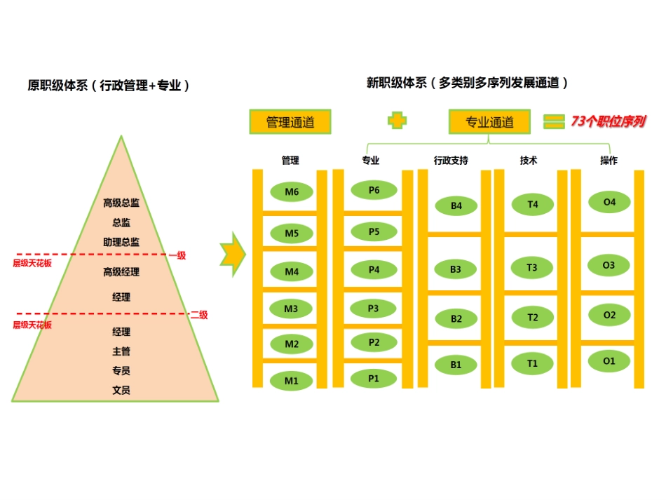 超级经典职位职级体系.pdf_第2页