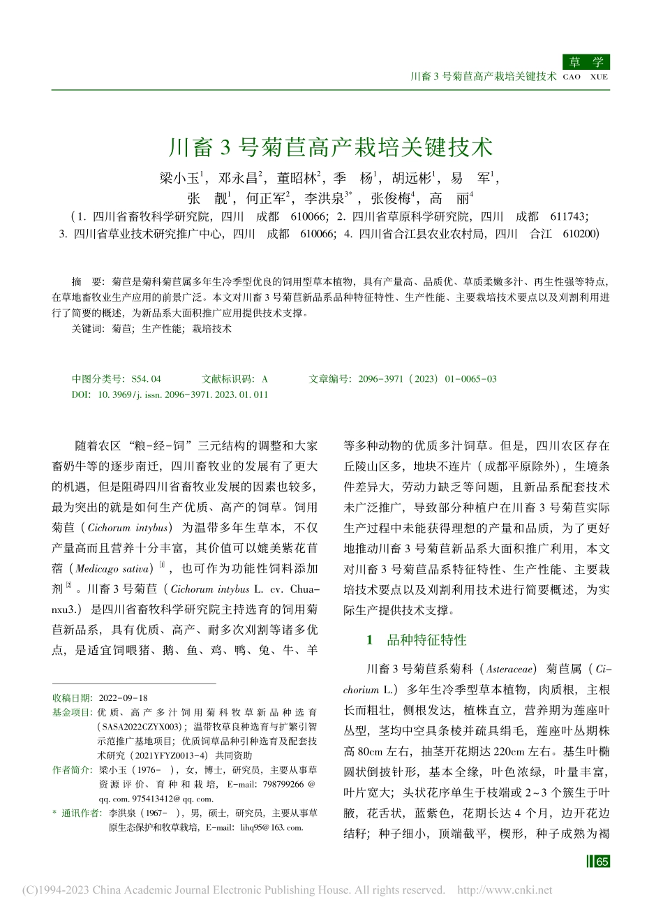 川畜3号菊苣高产栽培关键技术_梁小玉.pdf_第1页