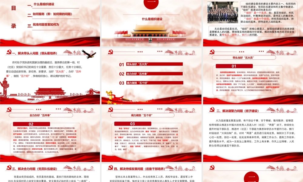 党务专题党课PPT：如何抓基层党建.pptx