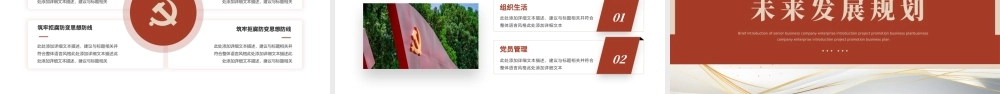 党支部书记述职报告PPT模板简约风格（20230815）.pptx