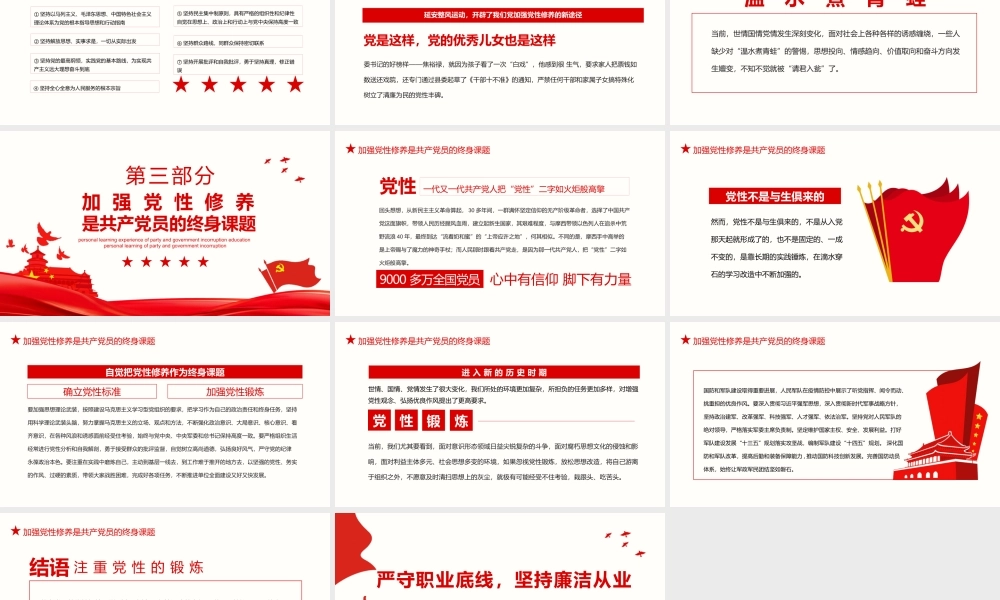 党课PPT：严守职业底线坚持廉洁从业.pptx