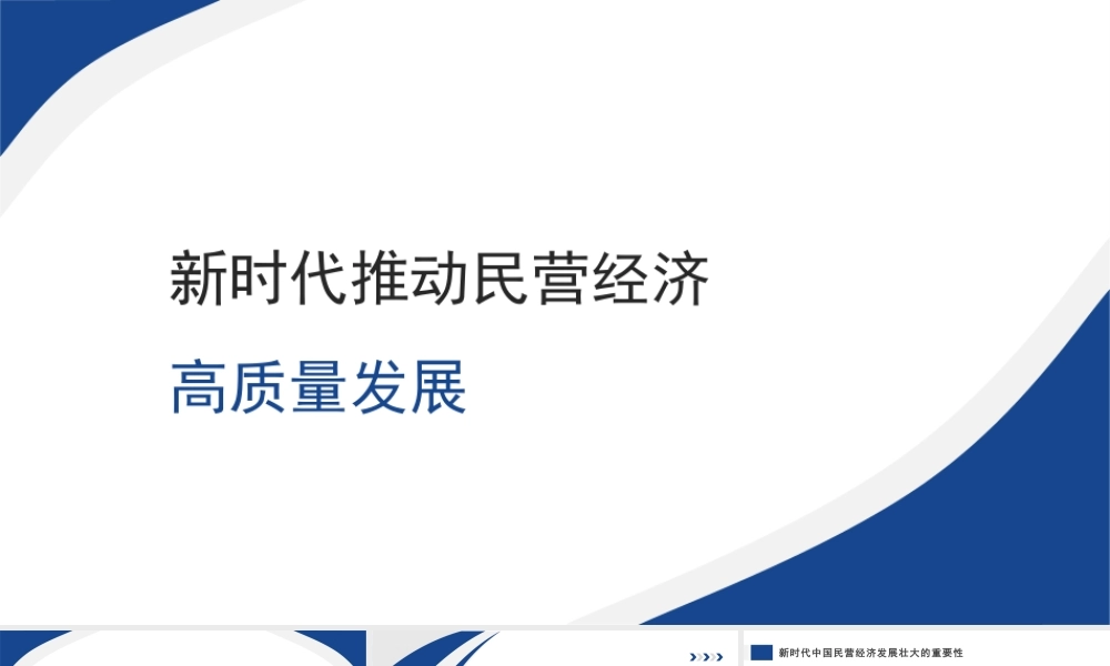 新时代推动民营经济高质量发展（PPT）.pptx