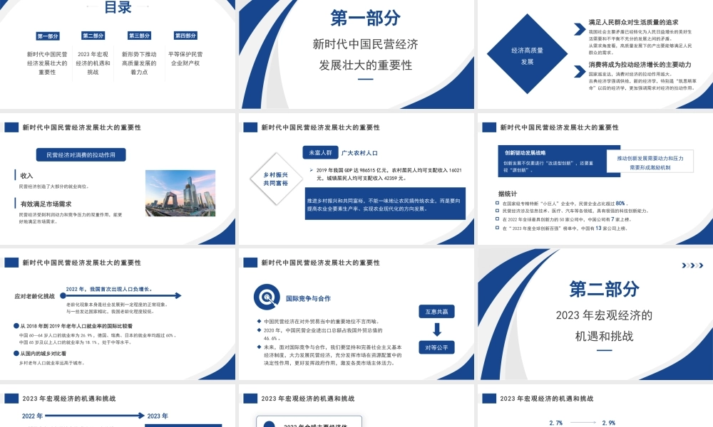新时代推动民营经济高质量发展（PPT）.pptx