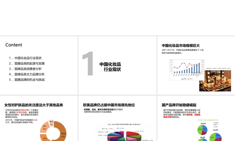 中国化妆品行业面膜品类市场分析报告模板.ppt