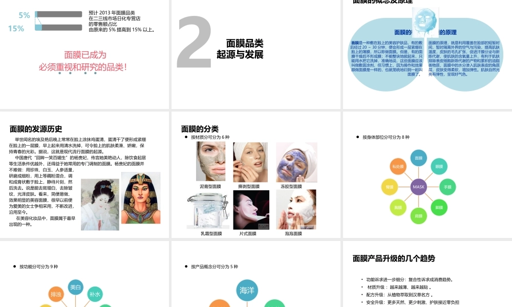 中国化妆品行业面膜品类市场分析报告模板.ppt
