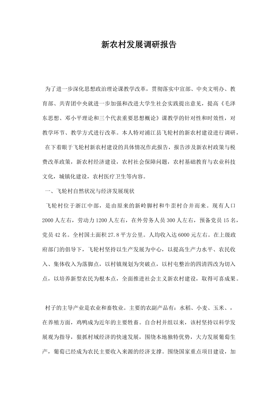 新农村发展调研报告.docx_第1页