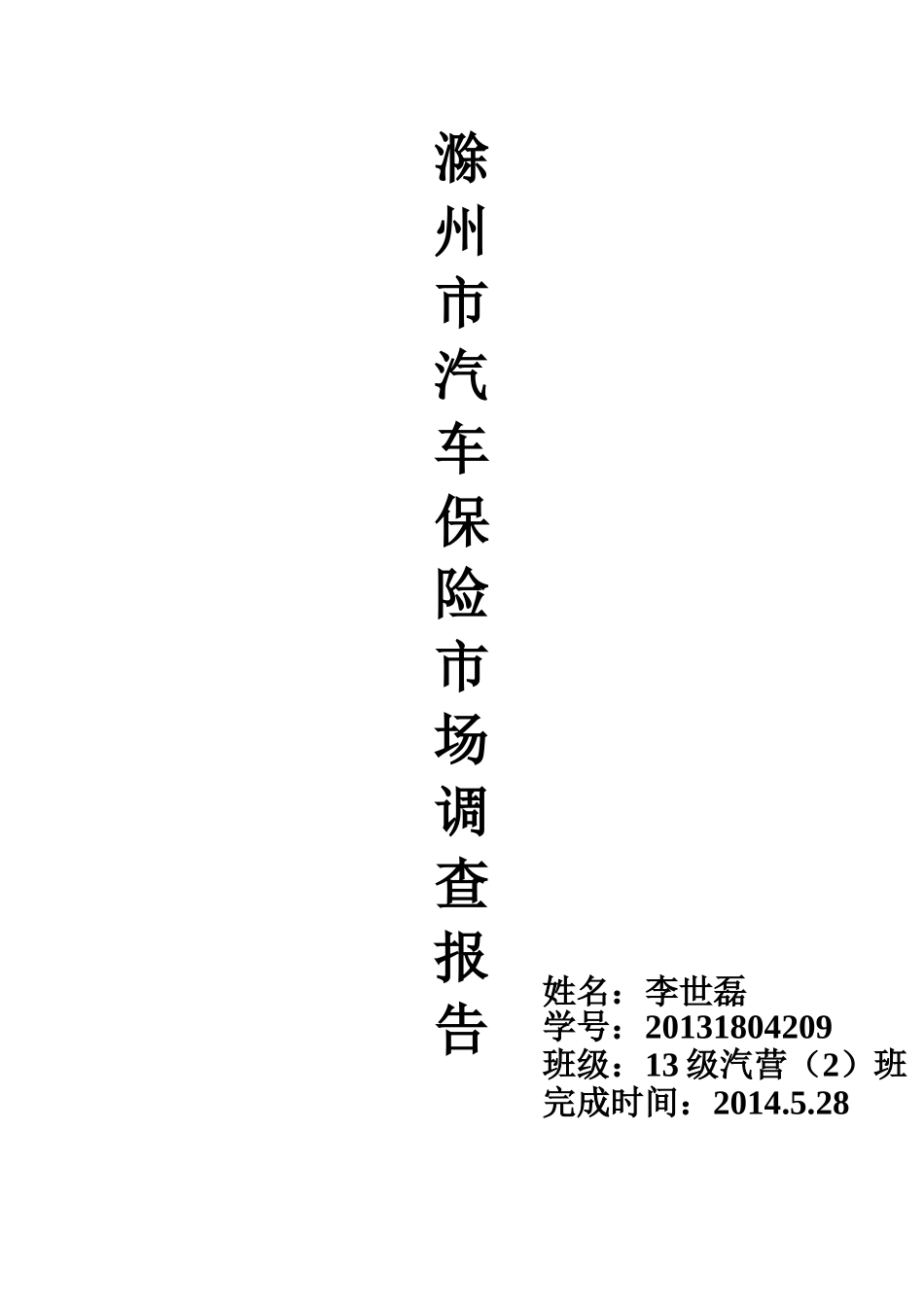 汽车保险市场调查报告.doc_第1页