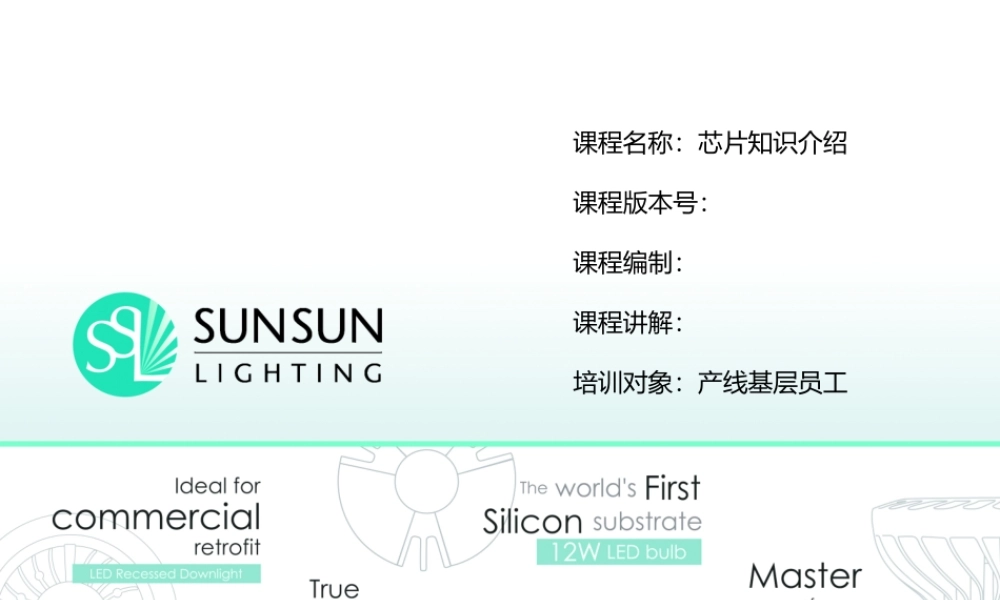 芯片知识介绍.pptx