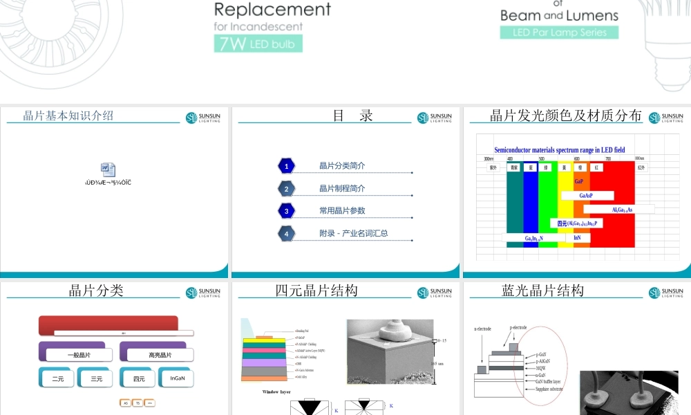 芯片知识介绍.pptx