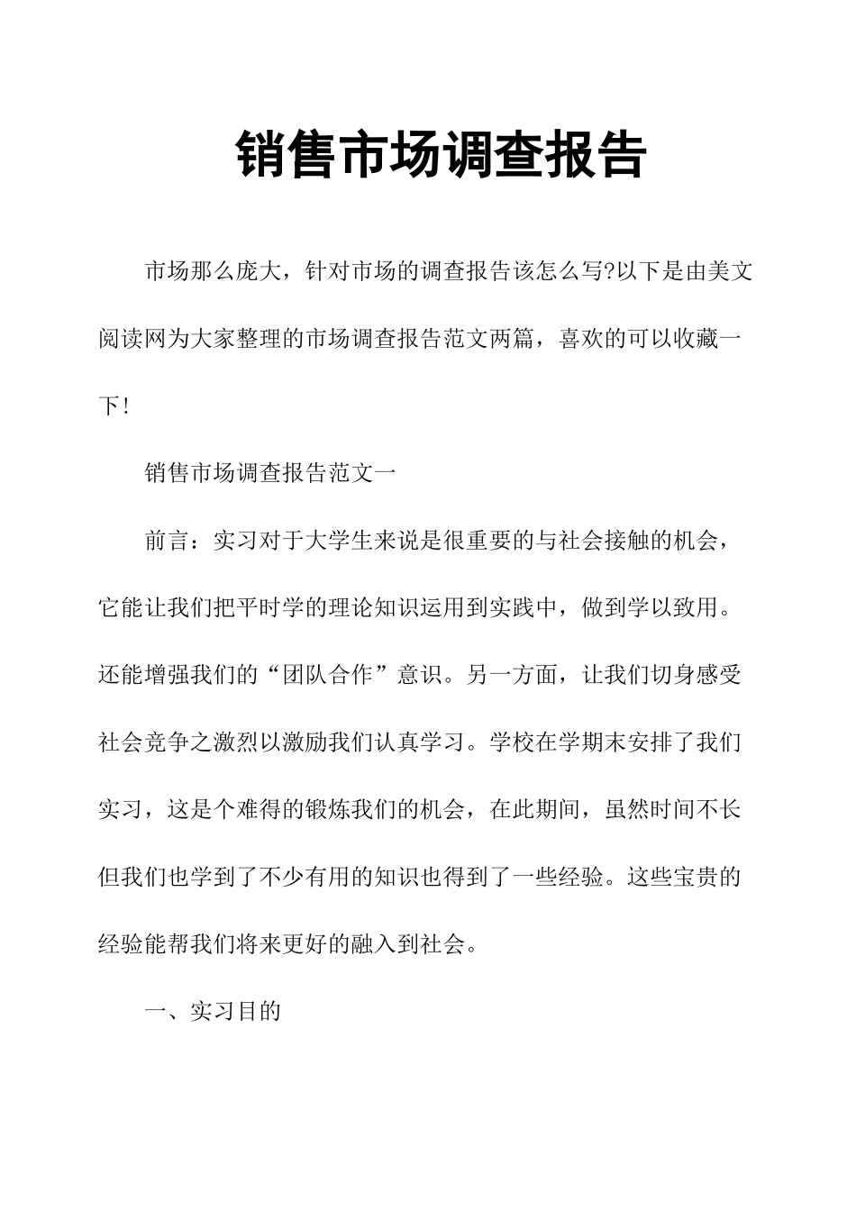 销售市场调查报告.docx_第1页