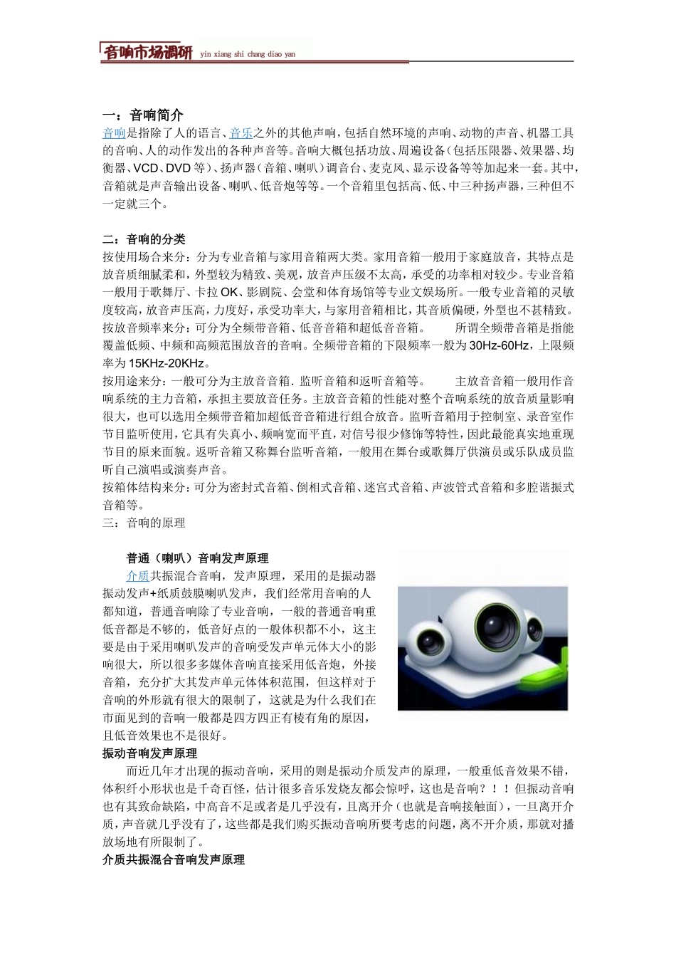音响调研报告.doc_第2页