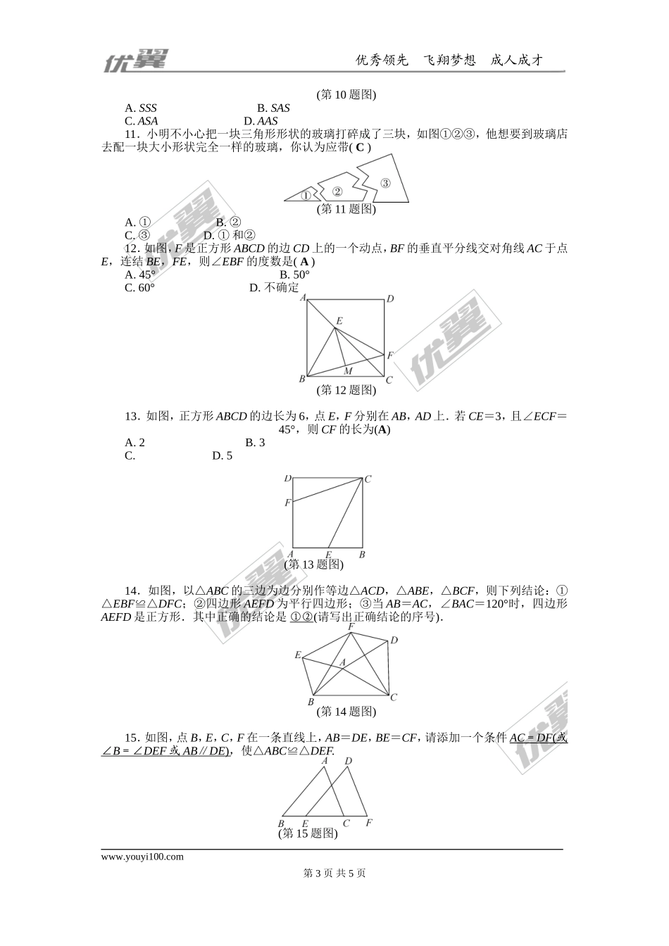 专题练习：全等三角形.doc_第3页