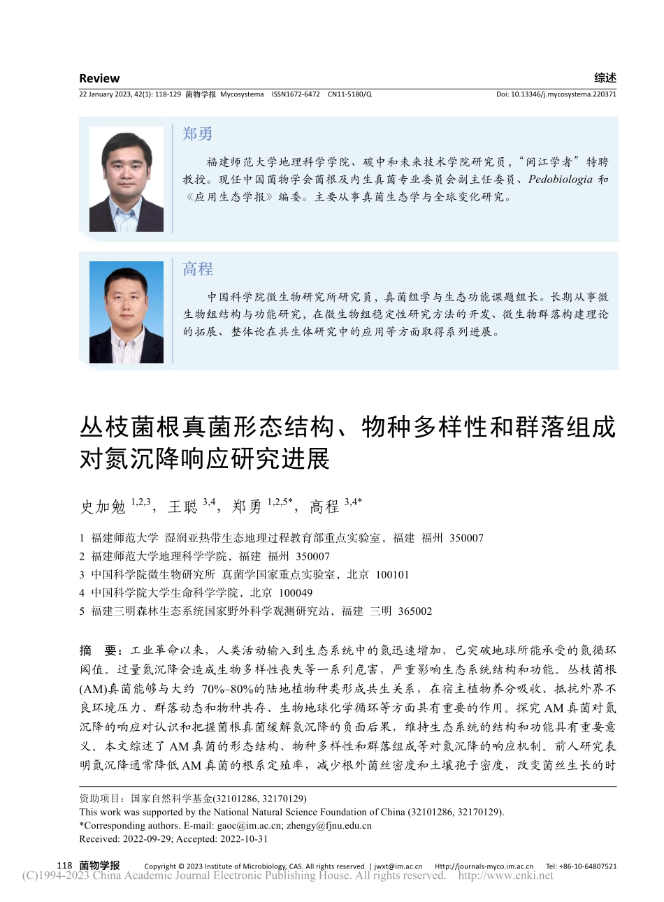 丛枝菌根真菌形态结构、物种...落组成对氮沉降响应研究进展_史加勉.pdf_第1页