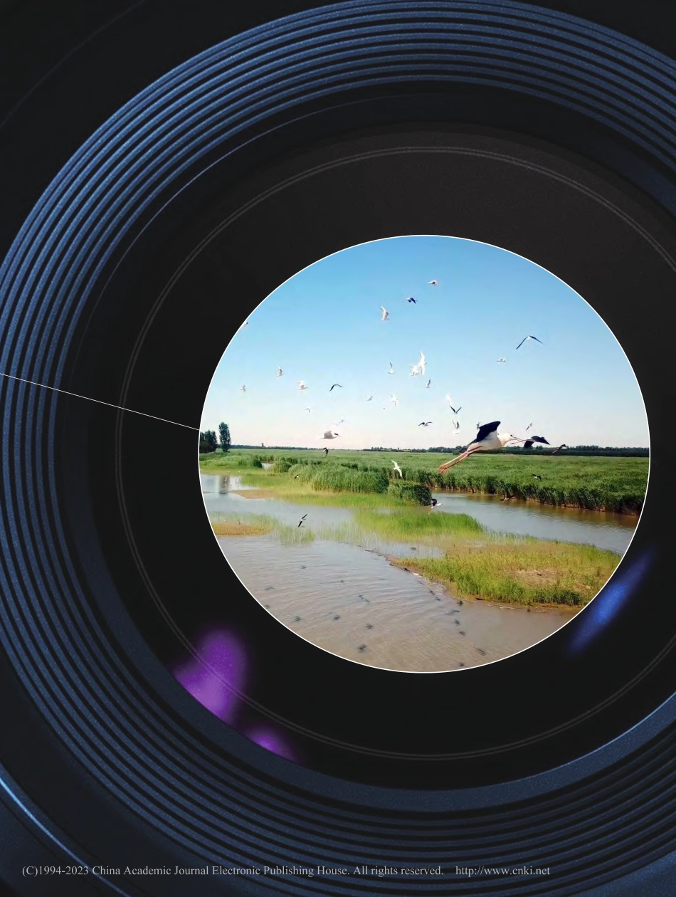 村里来了CEO_金凡晴.pdf_第2页