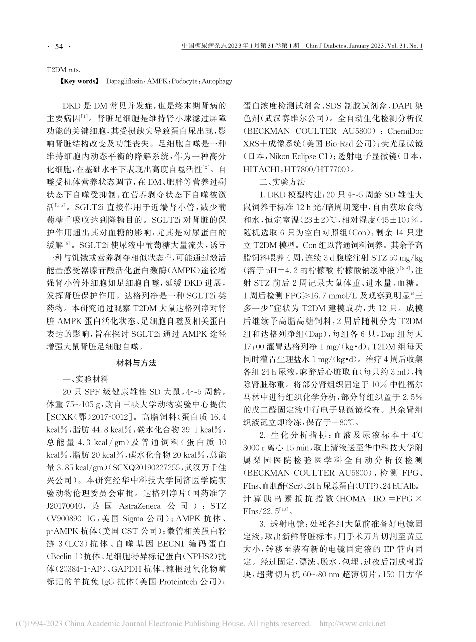 达格列净通过激活腺苷酸活化...酶途径增强足细胞自噬的研究_熊哲学.pdf_第2页