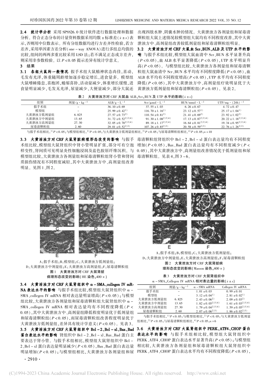 大黄泄浊方对5_6肾切除大...TF4_CHOP通路的影响_张欣欣.pdf_第3页