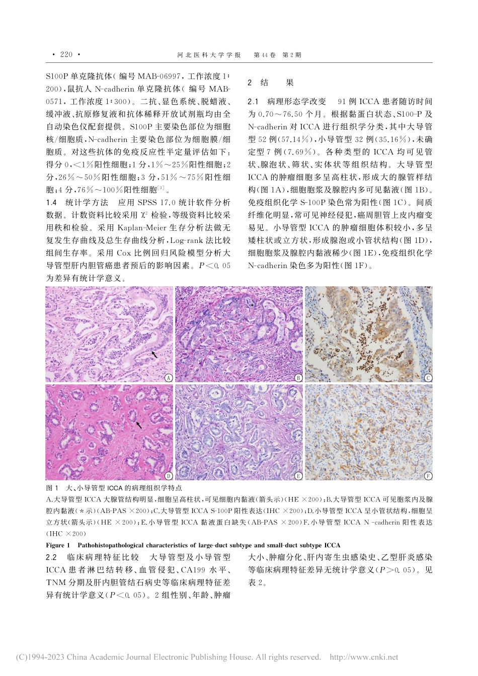 大导管型及小导管型肝内胆管癌的临床病理特征及预后分析_姚平.pdf_第3页