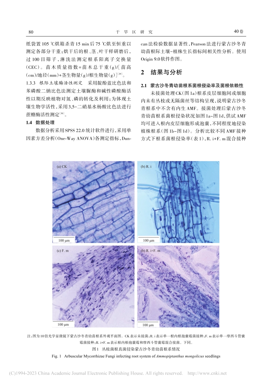 丛枝菌根真菌(AMF)对蒙...青幼苗的促生特性及作用机制_王紫瑄.pdf_第3页