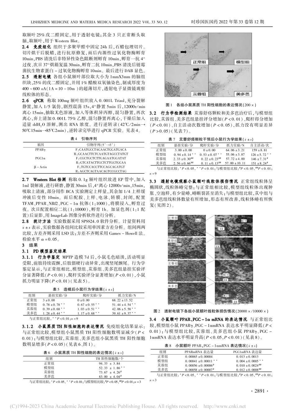 苁蓉舒痉颗粒对帕金森病模型...γ_PGC-1α通路的影响_袁欣欣.pdf_第3页