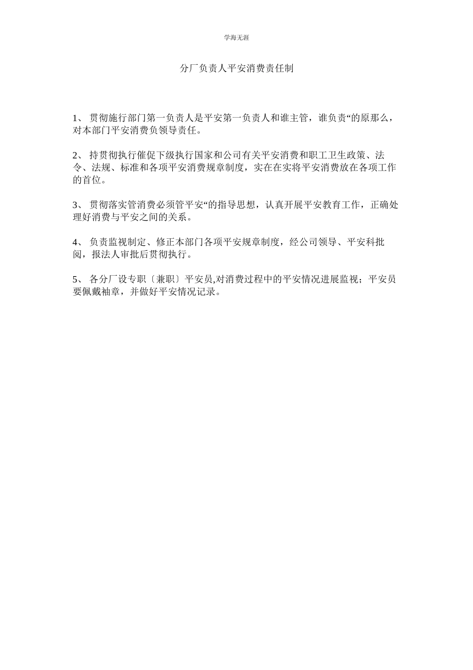 2023年分厂负责人安全生产责任制范文.docx_第1页