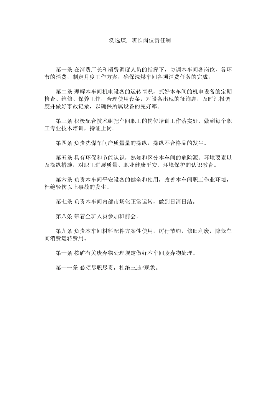 2023年洗选煤厂班长岗位责任制范文.docx_第1页