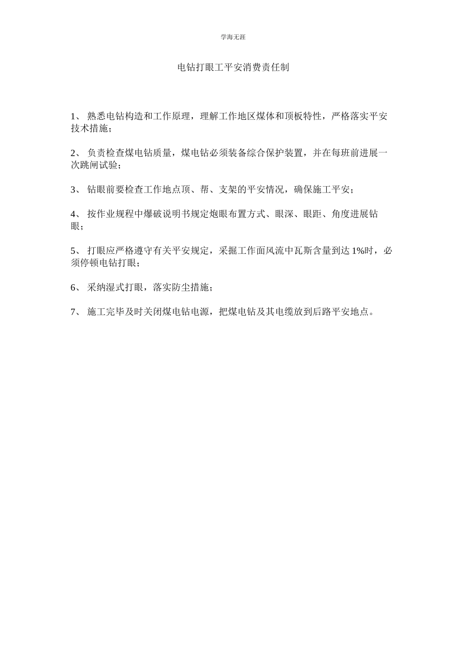 2023年电钻打眼工安全生产责任制范文.docx_第1页