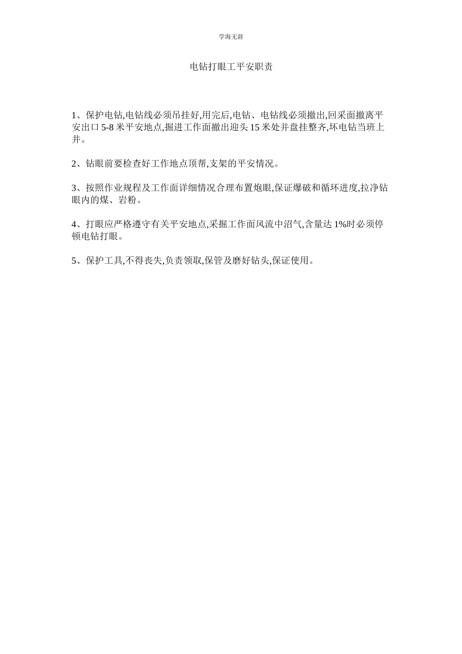 2023年电钻打眼工安全职责范文.docx_第1页