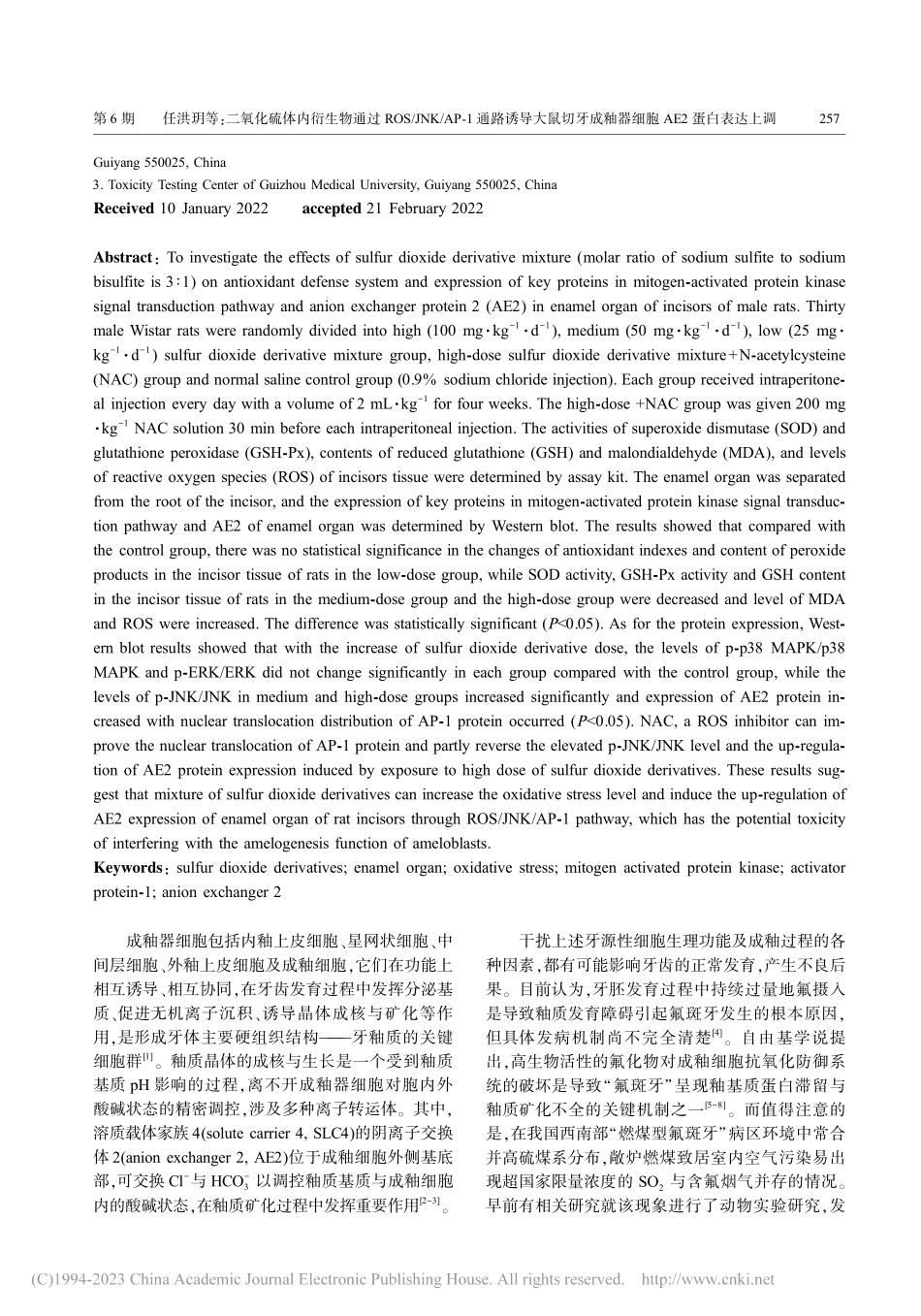 二氧化硫体内衍生物通过RO...釉器细胞AE2蛋白表达上调_任洪玥.pdf_第2页