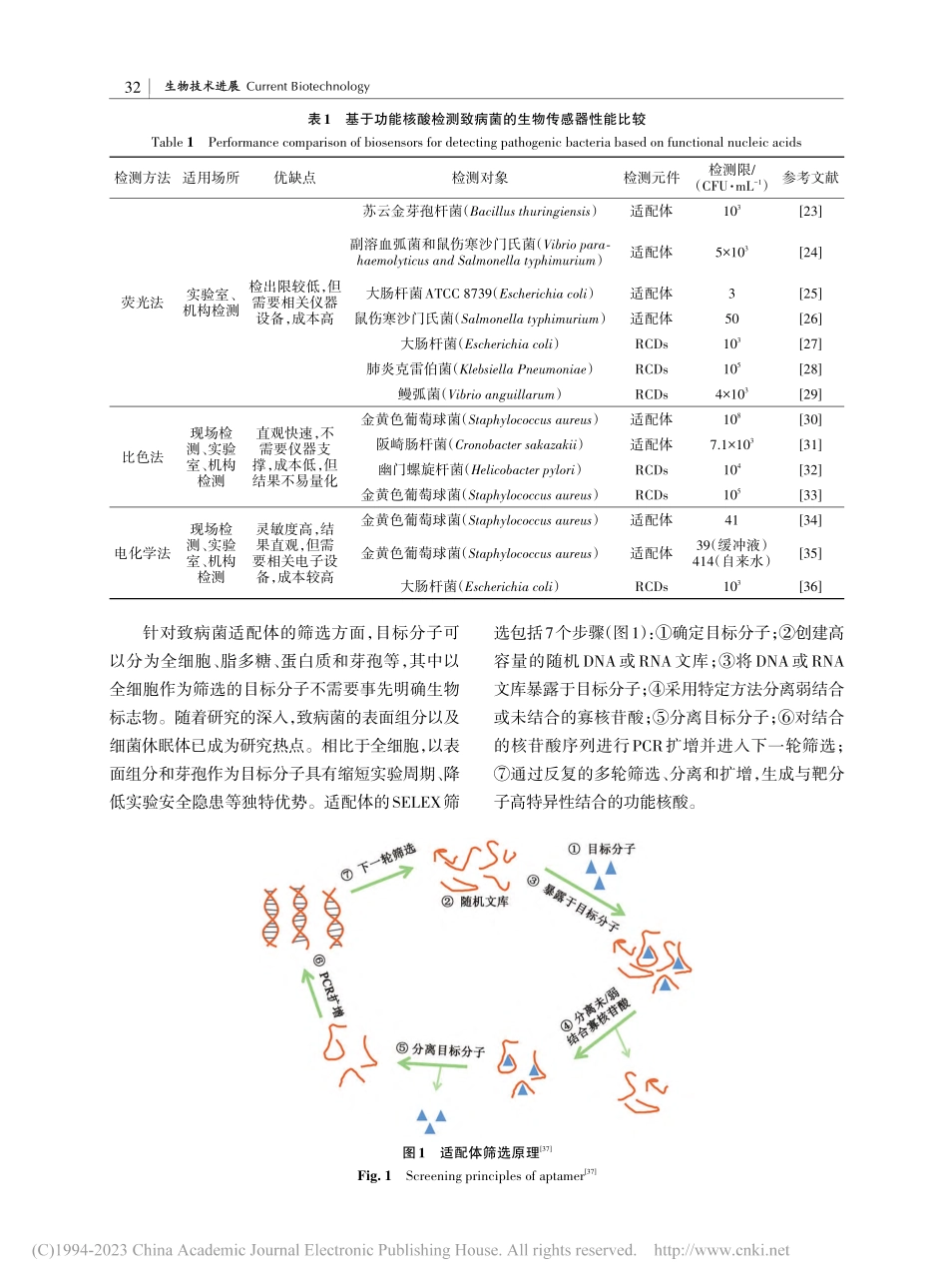 功能核酸用于致病菌检测的研究进展_赵文卓.pdf_第3页