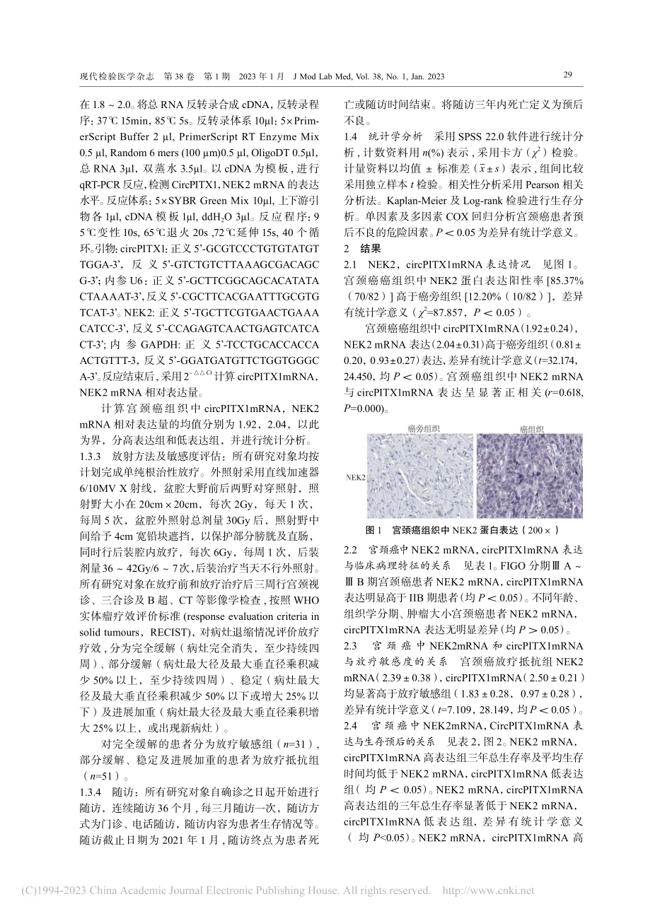 宫颈癌组织中NEK2和ci...疗敏感度及预后的相关性研究_陈霄.pdf_第3页