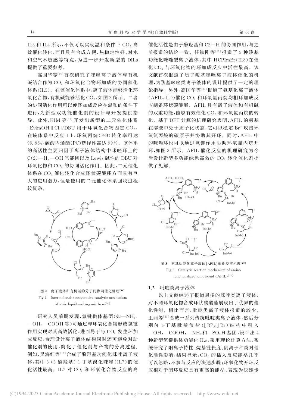 功能化离子液体催化CO_2转化合成高附加值化学品综述_刘福胜.pdf_第3页